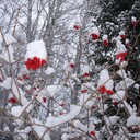 /images/groupphotos/59/531/thumb_90bed2f7f499d9b62f53636d.jpg