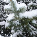 Наконец в Сибирь пришло тепло